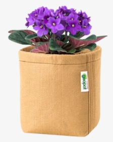 Flower In A Pot, HD Png Download, Transparent PNG