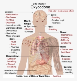 Side Effects Of Oxycodone - Oxycodone Side Effects, HD Png Download, Transparent PNG