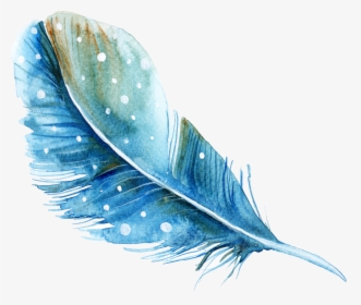 Feather Watercolor Painting - Feather Watercolor Png, Transparent Png, Transparent PNG