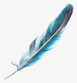 Transparent Feather Png Image - Pluma Png, Png Download, Transparent PNG