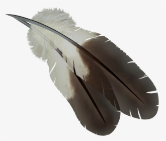 Bird Feather Hd Png, Transparent Png, Transparent PNG