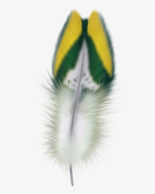 Feathers, HD Png Download, Transparent PNG