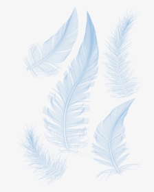 White Feathers Feather Hq Image Free Png Clipart - Powerpoint Background Design Feather, Transparent Png, Transparent PNG
