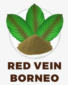 Red Vein Borneo - Saigon Cinnamon, HD Png Download, Transparent PNG