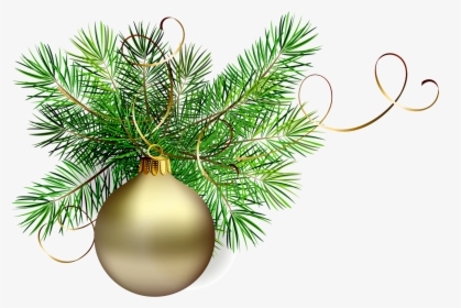 Christmas Green Cliparts - Christmas Pine Branch Clipart, HD Png Download, Transparent PNG