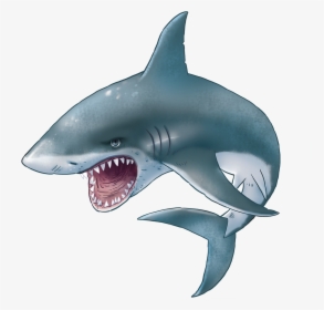 Download For Free Sharks Png Image - Transparent Background Great White Shark Clipart, Png Download, Transparent PNG