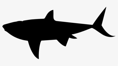 Shark Shape - Animal Silhouettes Shark, HD Png Download, Transparent PNG