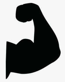 Biceps Arm Muscle Clip Art - Bicep Clipart, HD Png Download, Transparent PNG