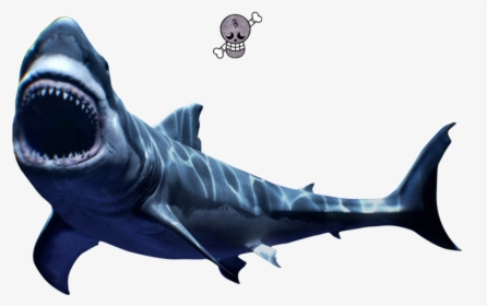 Scary Great White Shark Png - Mako Shark Png, Transparent Png, Transparent PNG
