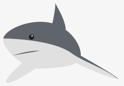 Shark Animation Clip Art - Clipart Cartoon Shark, HD Png Download, Transparent PNG