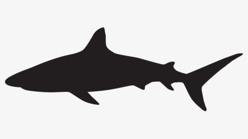 Shark Silhouette At Getdrawings - Shark Silhouette Clipart Black And White, HD Png Download, Transparent PNG