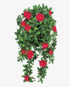 Flower Png File By Theartist100-d7alu19 - Hanging Plant With Small Red Flowers, Transparent Png, Transparent PNG