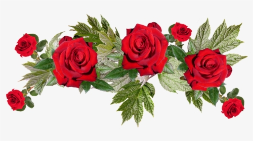 Red Flowers Png Image With Transparent Background - Transparent Background Red Flowers Png, Png Download, Transparent PNG