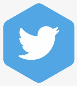 Twitter Icon Png Image Free Download Searchpng - Twitter 2019 Logo Png Transparent, Png Download, Transparent PNG