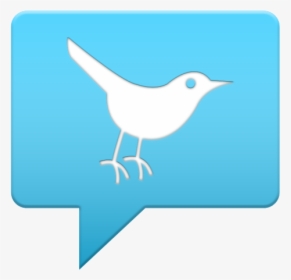 Twitter Icon - Twitter Icon Gifs Png, Transparent Png, Transparent PNG