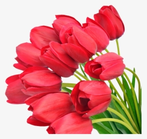 Download For Free Bouquet Of Flowers Icon - S 8 Marta Mama, HD Png Download, Transparent PNG