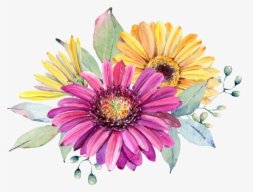Chrysanthemum Flowers Png Image File - Watercolor Painting, Transparent Png, Transparent PNG