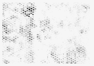 6 Grunge Dots Overlay, HD Png Download, Transparent PNG