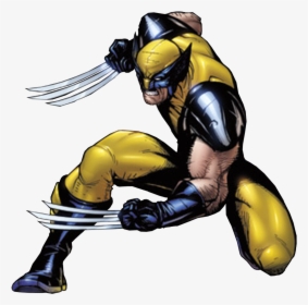 Wolverine Hulk Storm, HD Png Download, Transparent PNG