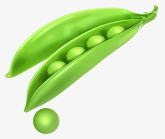 Pea Transparent Png - Peas In Pod Drawing, Png Download , Transparent Png  Image - PNGitem