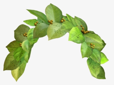 Snapchat Filter Green Crown Clip Arts - Leaf Flower Crown Png, Transparent Png, Transparent PNG