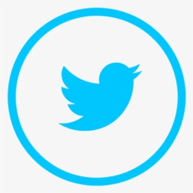 Logo De Twitter En Png, Transparent Png, Transparent PNG
