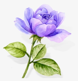 Transparent Rose Flowers Png - Transparent Purple Watercolor Flowers, Png Download, Transparent PNG