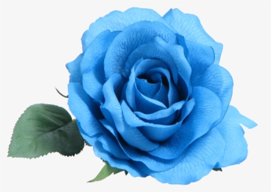 Blue Rose Clip Art - Transparent Blue Flower Png, Png Download, Transparent PNG