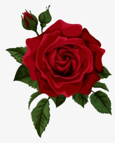 Rose Drawing Clip Art - Red Rose Drawing Png, Transparent Png, Transparent PNG