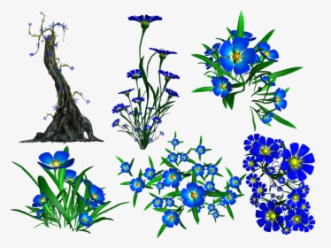 Decor,botany,clip Art,flowering Plant,gentian Family,scilla - Transparency, HD Png Download, Transparent PNG
