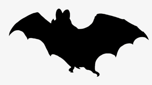 Vampire Bat Silhouette - Bat White Background Png, Transparent Png, Transparent PNG