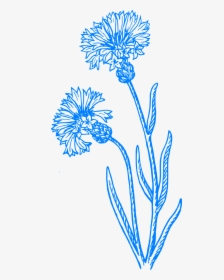 Cornflower Black And White, HD Png Download, Transparent PNG
