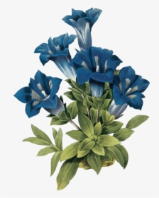 #leaves #png #green #kpopedit #edits #edit #overlay - Vintage Flowers In Blue, Transparent Png, Transparent PNG