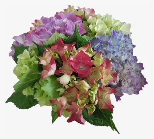 Hydrangea, Flowers, Garden Plant, Blue, Purple, Rose - Bouquet, HD Png Download, Transparent PNG