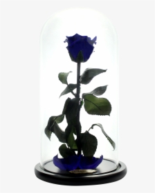 Transparent Beauty And The Beast Rose Png - Blue Rose, Png Download, Transparent PNG