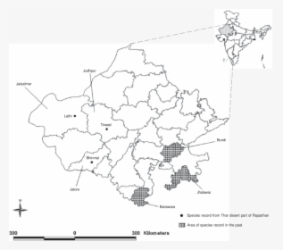 Transparent Fruit Bat Png - Map, Png Download, Transparent PNG
