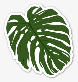 Leaf,green,monstera Deliciosa,plant,line Art,black - Palm Leaf Leaf Sticker, HD Png Download, Transparent PNG