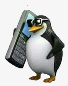 #pinguim #meme #shitpost - Penguin With A Phone, HD Png Download, Transparent PNG