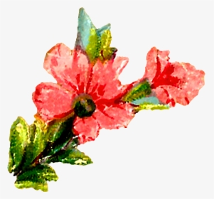 Pastel Floral Clipart Downloads, HD Png Download, Transparent PNG