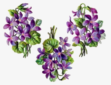 Flower Digital Bundle Wildflower Floral Craft Collage, HD Png Download, Transparent PNG