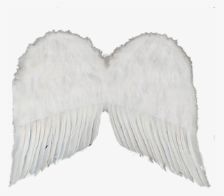 White Wings Png, Transparent Png, Transparent PNG