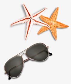 Beach Elements Sunglasses Starfish Free Clipart Hd, HD Png Download, Transparent PNG