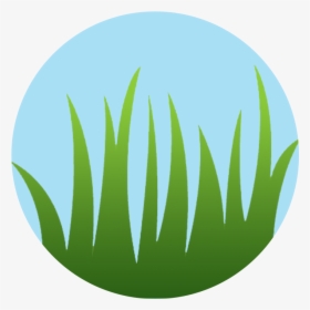 Long Grass Png, Transparent Png, Transparent PNG