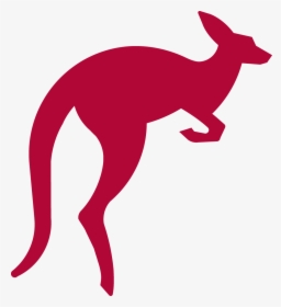 Kangaroo Jumping Png Download Image, Transparent Png, Transparent PNG