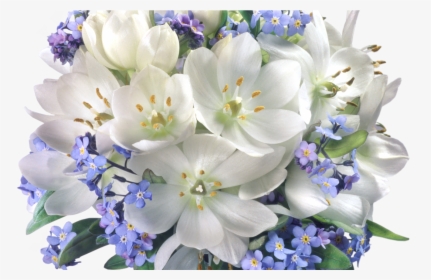 Transparent Crocuses Clipart - Best Jasmine Flower Bouquet, HD Png Download, Transparent PNG