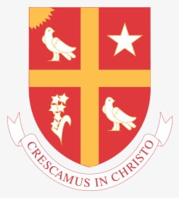 University Of St - University Of St Thomas Houston Logo, HD Png Download, Transparent PNG