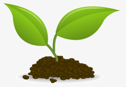 Plant Sowing Seedling Clip Art - Seedling Clip Art, HD Png Download, Transparent PNG