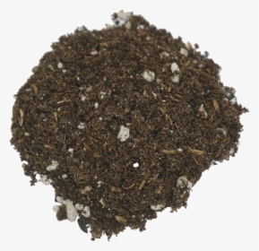 Seedling Soil   Class Lazyload Lazyload Fade In Cloudzoom - Rolling Tobacco, HD Png Download, Transparent PNG