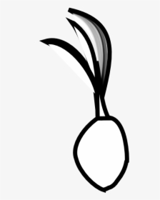 Seed Black And White Clipart - Coconut Seed Clipart, HD Png Download, Transparent PNG