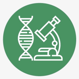 Research Icon Green - Unt Alumni, HD Png Download, Transparent PNG